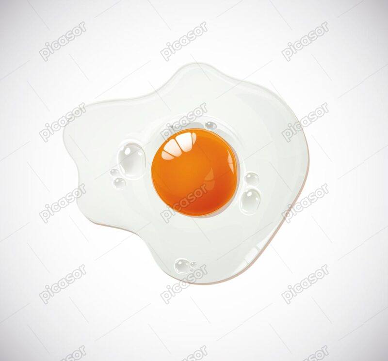 وکتور نیمرو تخم مرغ طراحی واقعی - وکتور زرده و سفیده تخم مرغ