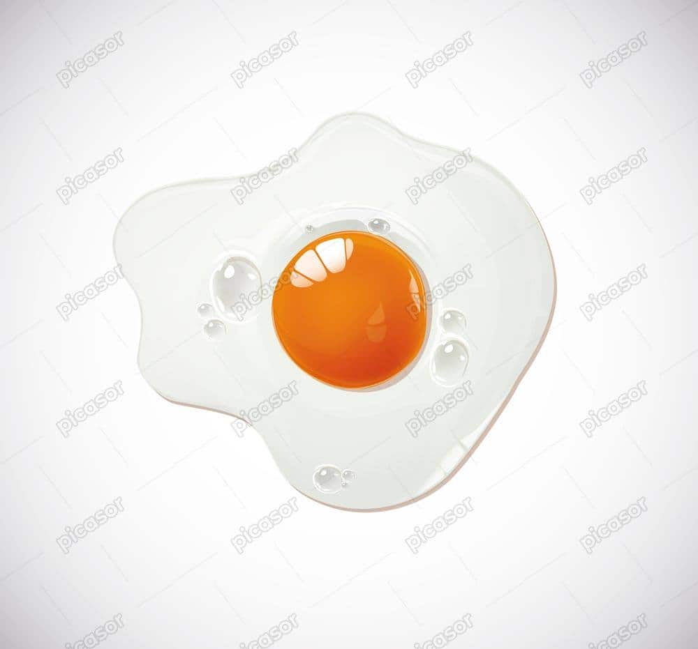 وکتور نیمرو تخم مرغ طراحی واقعی - وکتور زرده و سفیده تخم مرغ وکتور نیمرو تخم مرغ طراحی واقعی - وکتور زرده و سفیده تخم مرغ