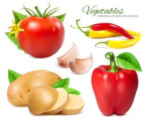 وکتور سیر و سیب زمینی و فلفل قرمز گوجه فرنگی سبک طراحی واقعی - وکتور سبزیجات تند
