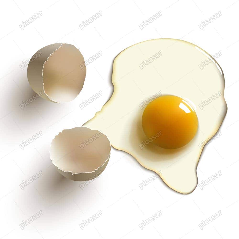 وکتور تخم مرغ شکسته و پوست تخم مرغ و زرده وکتور تخم مرغ شکسته و پوست تخم مرغ و زرده