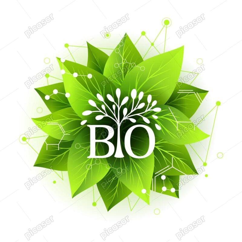 وکتور برگهای سبز محصولات ارگانیک - وکتور لیبل محصولات ارگانیک وکتور لیبل برگ سبز