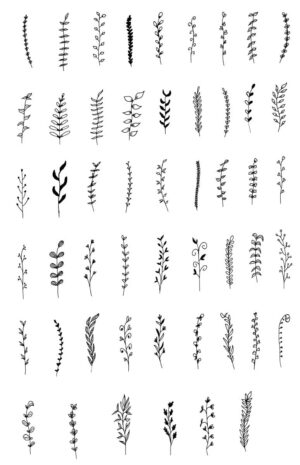 50 وکتور شاخه برگ مینیمال نقاشی خطی - وکتور نقاشی خطی شاخه گیاه ظریف و ساده