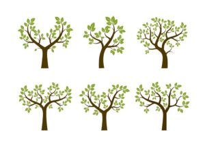 6 وکتور درخت سبز در بهار
