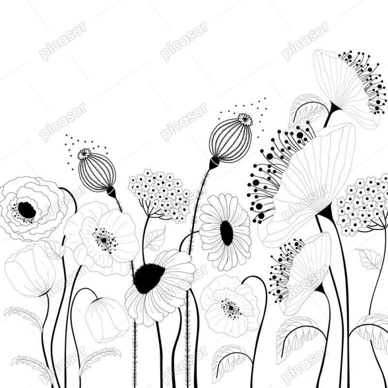 وکتور گل های شقایق نقاشی خطی - وکتور خطی شاخه گل های شقایق