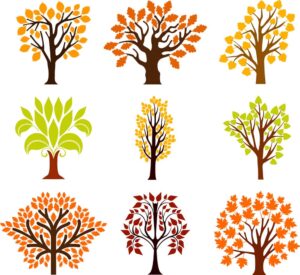 9 وکتور درخت فصل پاییز طرح فانتزی فصل پاییز