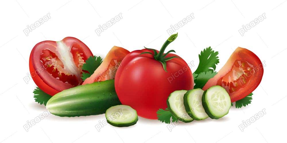 وکتور خیار گوجه فرنگی تازه و سالم و بریده شده وکتور خیار گوجه فرنگی تازه و سالم و بریده شده