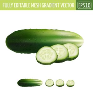 وکتور خیار طراحی واقعی - وکتور سبزیجات