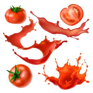 وکتور گوجه فرنگی رب گوجه فرنگی بریده شده