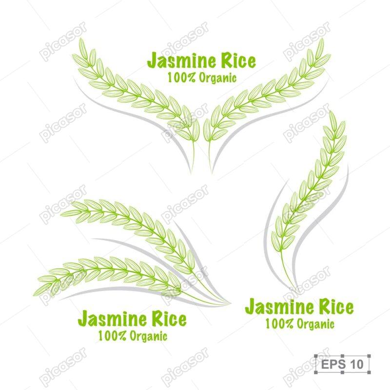 3 وکتور لوگو خوشه برنج سبز - وکتور تک خوشه برنج