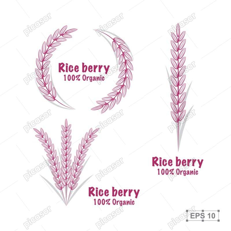 3 وکتور خوشه برنج لوگو خوشه برنج قرمز و شالیزار - وکتور تک خوشه برنج