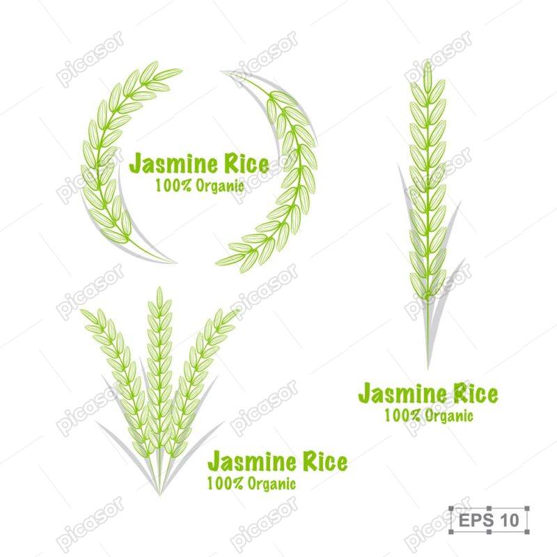 3 وکتور خوشه برنج لوگو خوشه برنج سبز و شالیزار - وکتور تک خوشه برنج