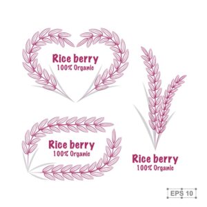 3 وکتور خوشه برنج شکل قلب لوگو خوشه برنج قرمز دسته خوشه شالیزار