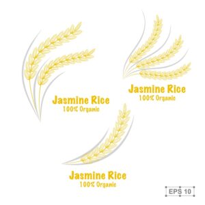 3 وکتور لوگو خوشه برنج طلایی تک خوشه برنج