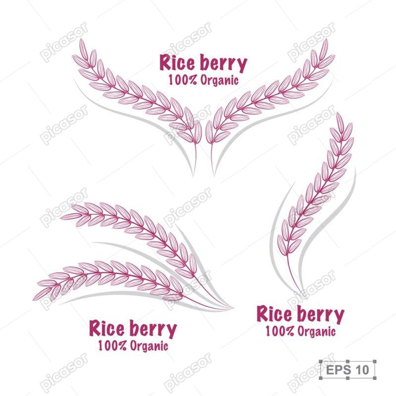 3 وکتور لوگو خوشه برنج قرمز - وکتور تک خوشه برنج
