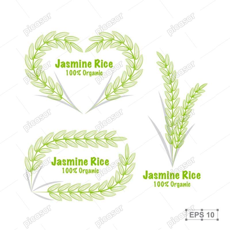 3 وکتور خوشه برنج شکل قلب لوگو خوشه برنج سبز دسته خوشه شالیزار