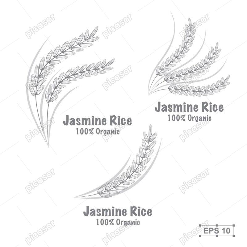 3 وکتور لوگو خوشه برنج تک خوشه برنج