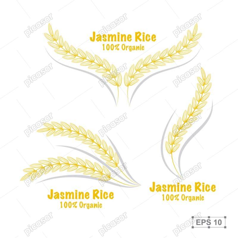 3 وکتور لوگو خوشه برنج طلایی - وکتور تک خوشه برنج