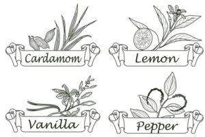 وکتور هل وانیل لیمو فلفل - وکتور لیبل سبزیجات میوه و ادویه جات نقاشی خطی