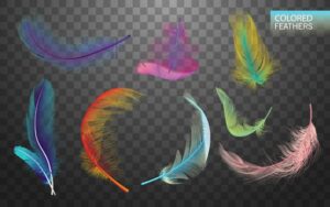 8 وکتور پر رنگارنگ طراحی واقعی از پرهای رنگی پرنده