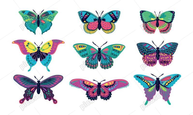 9 وکتور پروانه رنگارنگ