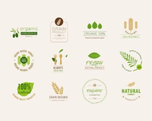 12 لیبل محصولات کشاورزی ارگانیک - وکتور لیبل ارگانیک با برگهای سبز و خوشه گندم