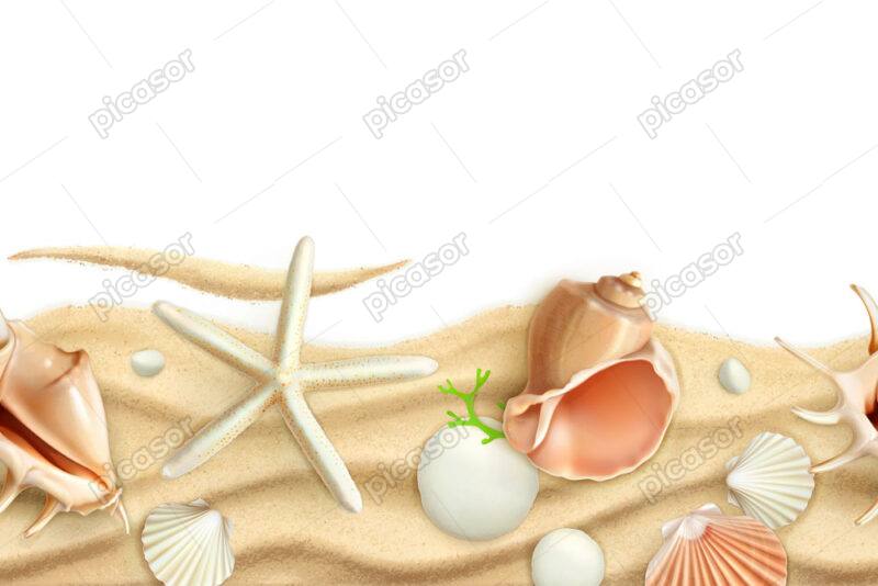 وکتور پترن ساحل شنی با صدفهای دریایی