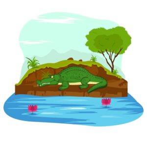 وکتور تمساح کنار رودخانه طرح کارتونی