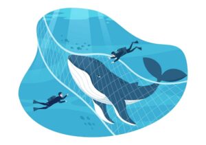 وکتور شکار نهنگ در تور ماهیگیری با غواص