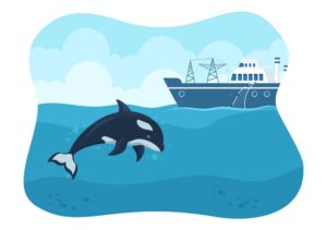 وکتور شکار نهنگ با کشتی صید نهنگ