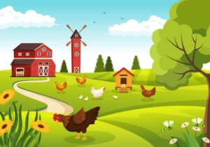 وکتور پس زمینه روستا با مرغ و خروس و جوجه - وکتور پس زمینه تصویرسازی مرغداری