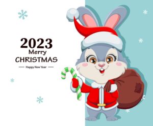 وکتور خرگوش با لباس بابانوئل طرح کارتونی