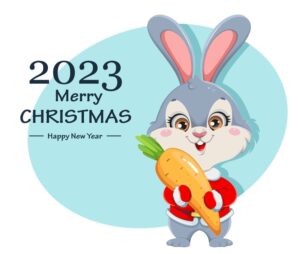 وکتور خرگوش با لباس بابانوئل و هویج طرح کارتونی