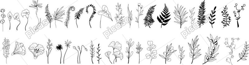 41 وکتور گل و گیاه مینیمال و شاخه خطی سبک نقاشی دست