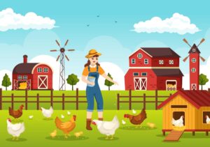 وکتور غذا دادن دختر به حیوانات مزرعه مرغ و خروس و جوجه در روستا - وکتور تصویرسازی پرورش مرغ و تخم مرغ ارگانیک در مرغداری دهکده