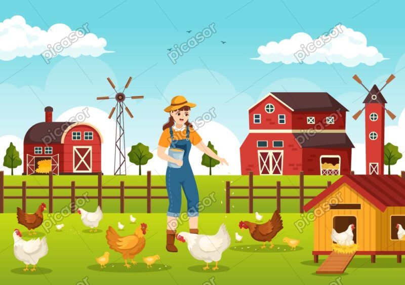 وکتور غذا دادن دختر به حیوانات مزرعه مرغ و خروس و جوجه در روستا - وکتور تصویرسازی پرورش مرغ و تخم مرغ ارگانیک در مرغداری دهکده