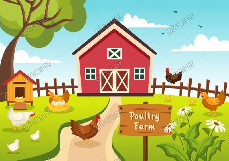 وکتور پس زمینه مزرعه با مرغ و خروس و جوجه در روستا - وکتور تصویرسازی مرغداری