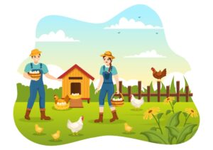 وکتور جمع آوری تخم مرغ محلی با کشاورز و مرغ و خروس و جوجه در روستا - وکتور تصویرسازی تخم مرغ محلی