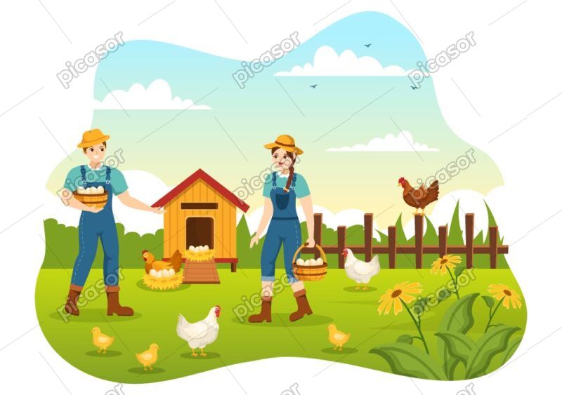 وکتور جمع آوری تخم مرغ محلی با کشاورز و مرغ و خروس و جوجه در روستا - وکتور تصویرسازی تخم مرغ محلی