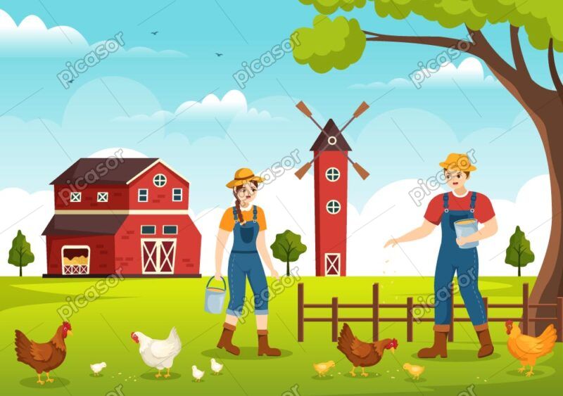 وکتور غذا دادن به مرغ و خروس و جوجه در روستا - وکتور تصویرسازی کشاورزان در حال کار در مزرعه مرغداری
