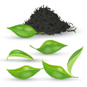 5 وکتور چای سیاه با برگ چای سبز