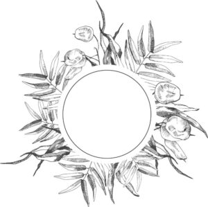 وکتور قاب شاخه برگ سیاه سفید طرح نقاشی اسکچ وکتور نقاشی حلقه برگ سیاه سفید