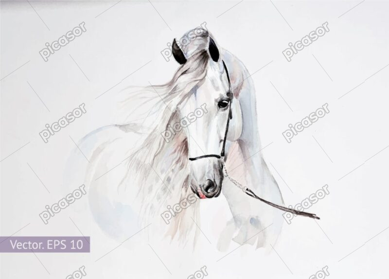 وکتور نقاشی اسب سفید با آبرنگ