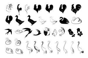 35 وکتور لوگو آیکون پرنده خروس اردک قو پرستو کبوتر درنا لک لک و گنجشک