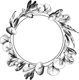 وکتور قاب شاخه برگ سیاه سفید طرح نقاشی اسکچ - وکتور نقاشی حلقه برگ سیاه سفید