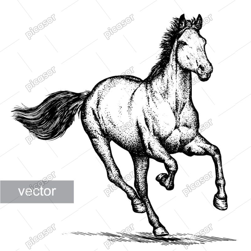 وکتور نقاشی اسب در حال دویدن