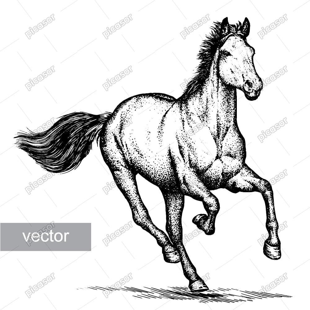 وکتور نقاشی اسب در حال دویدن وکتور نقاشی اسب در حال دویدن