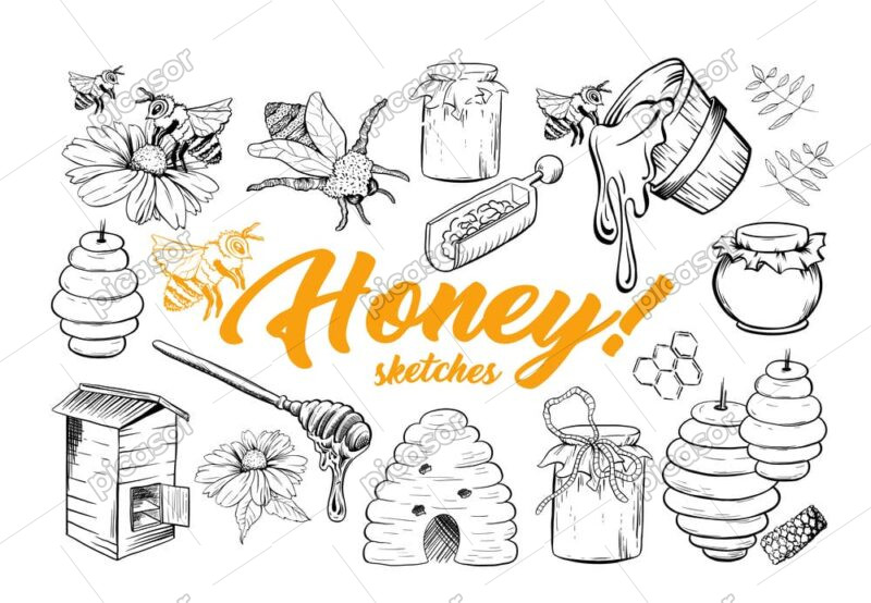 12 وکتور عسل کندو عسل زنبور و گل طرح نقاشی