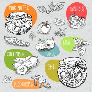 10 وکتور نقاشی خیار سیر گوجه فرنگی قارچ برگ ریحان - وکتور نقاشی سبزیجات و مواد غذایی سبک اسکچ