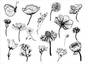 17 وکتور نقاشی گل و گیاه طرح واقعی