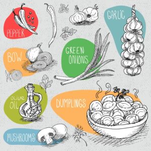 11 وکتور نقاشی سیر فلفل پیاز پیازچه روغن زیتون - وکتور نقاشی سبزیجات مواد غذایی سبک اسکچ